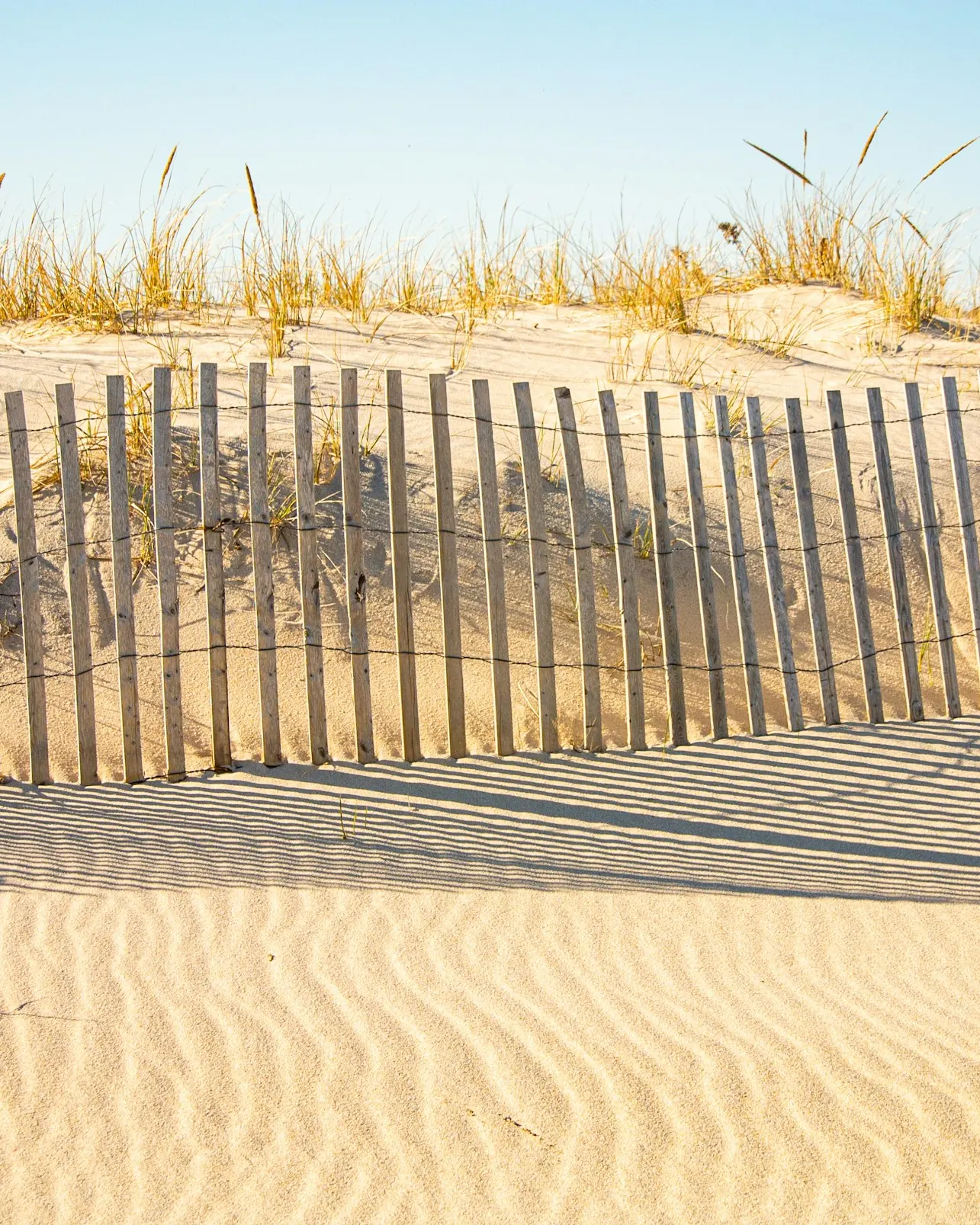 A wooden dune fence on a quiet New England beach