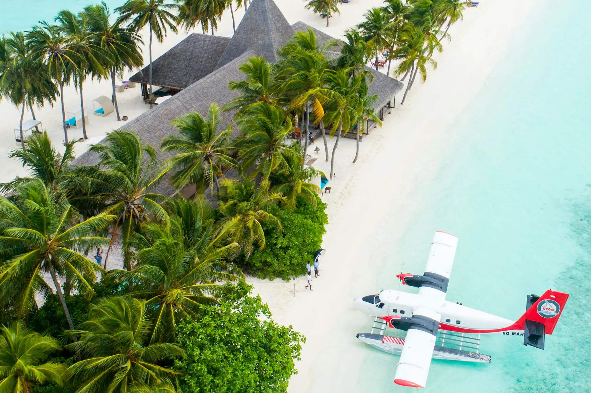 A float-equipped turboprop parked off a palm-lined beach, seen from above